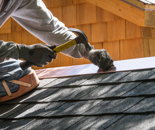 Best Commercial Roofing Services  in Sheldon, IL